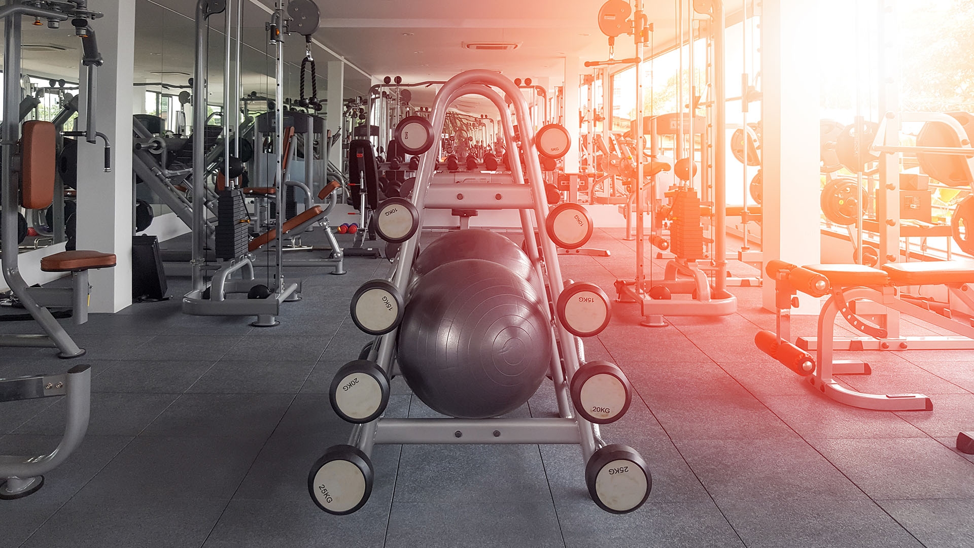 Website Template für Sportstudio